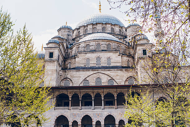 የ ሃሜት ጉዳት በ አከራ