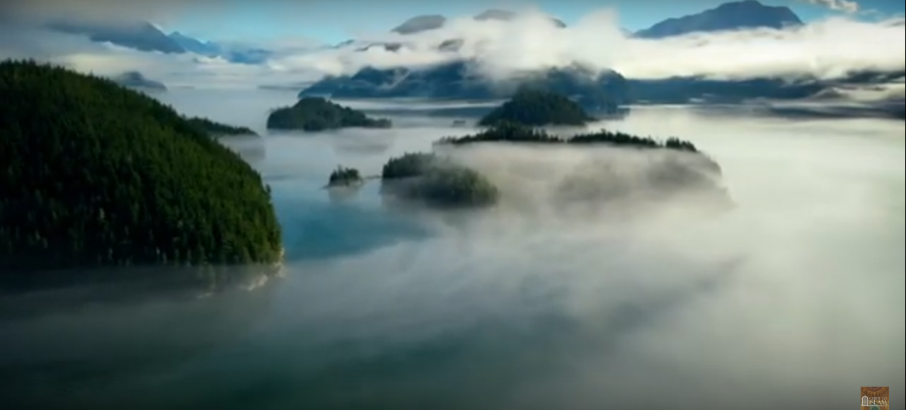 Le Chemin du Bonheur