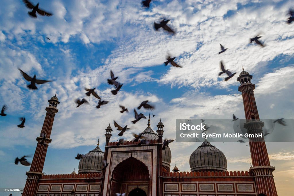 Jutbah Juzgar con la ley de Allah en nuestra vida privada y nuestra comunidad